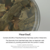 Abib Heartleaf Essence Calming Pump 50mL