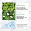 Dr. Althea Green Tea Fresh Sunscreen