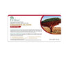 Puricas Dragon’s Blood Scar Gel Concentrated Red Spots Care