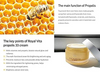 Dr.Ceuracle Royal Vita Propolis 33 Cream 50mL