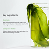 BIODANCE قناع أعشاب البحر المنعش ريل ديب 1.19 أونصة (34 جرام) × 4 قطع