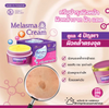 Perfect Skin Lady Melasma Breakdown Cream Dark Spots Brightening Cream Thailand