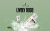 Lively Nose Green Tea by Nakiz Blackhead Removal Pore Cleansing