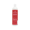 Inahsi Aloe Hibiscus Leave-In Conditioner & Detangler 16Oz